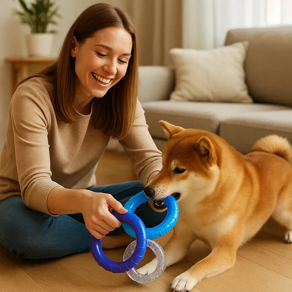 3-Ring-Kauspielzeug für Hunde robust und zahnfreundlich Karnz