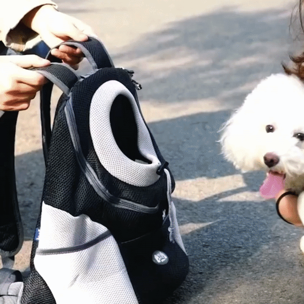 Karnz | PawCarry – Gemeinsam überall unterwegs