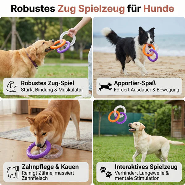 3-Ring-Kauspielzeug für Hunde robust und zahnfreundlich Karnz