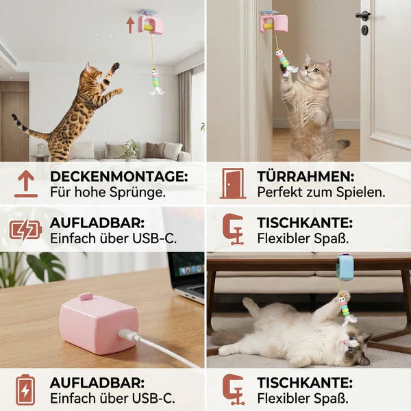 Elektrisches Katzenspielzeug zum Hängen Karnz