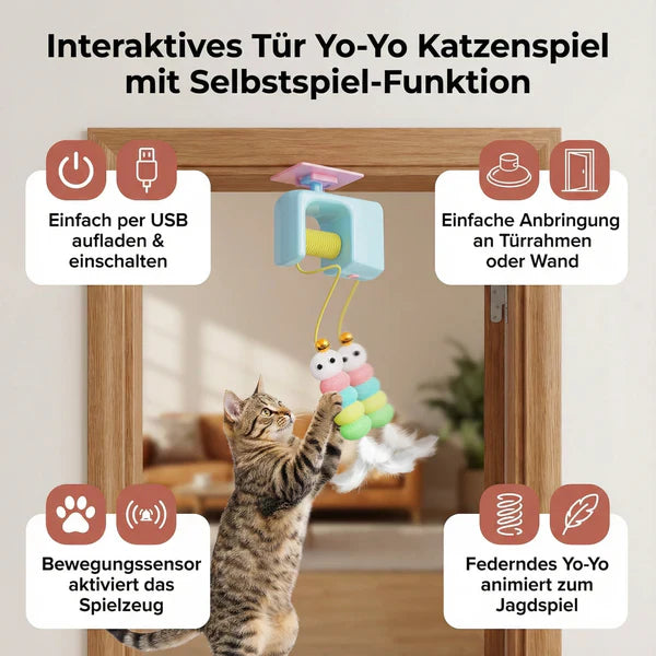 Elektrisches Katzenspielzeug zum Hängen Karnz