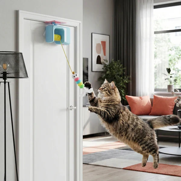 Elektrisches Katzenspielzeug zum Hängen Karnz