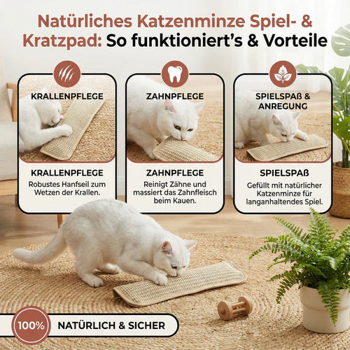 Kratzkissen für Katzen mit Katzenminze langlebig und robust Karnz