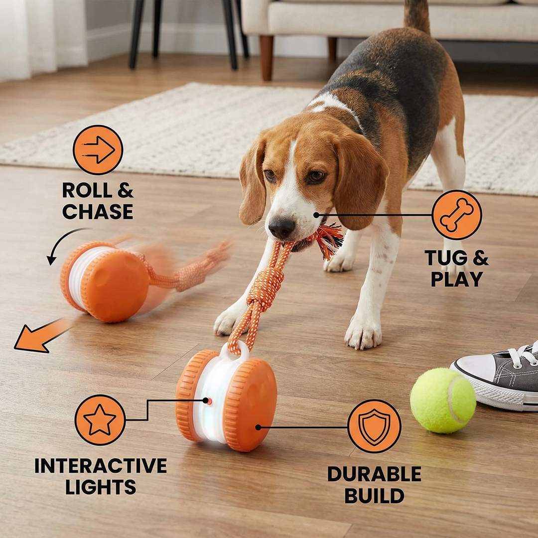 Interaktive & langlebige Hundeball – Bewegungsspielzeug mit Ziehseil in Hundefarben Karnz