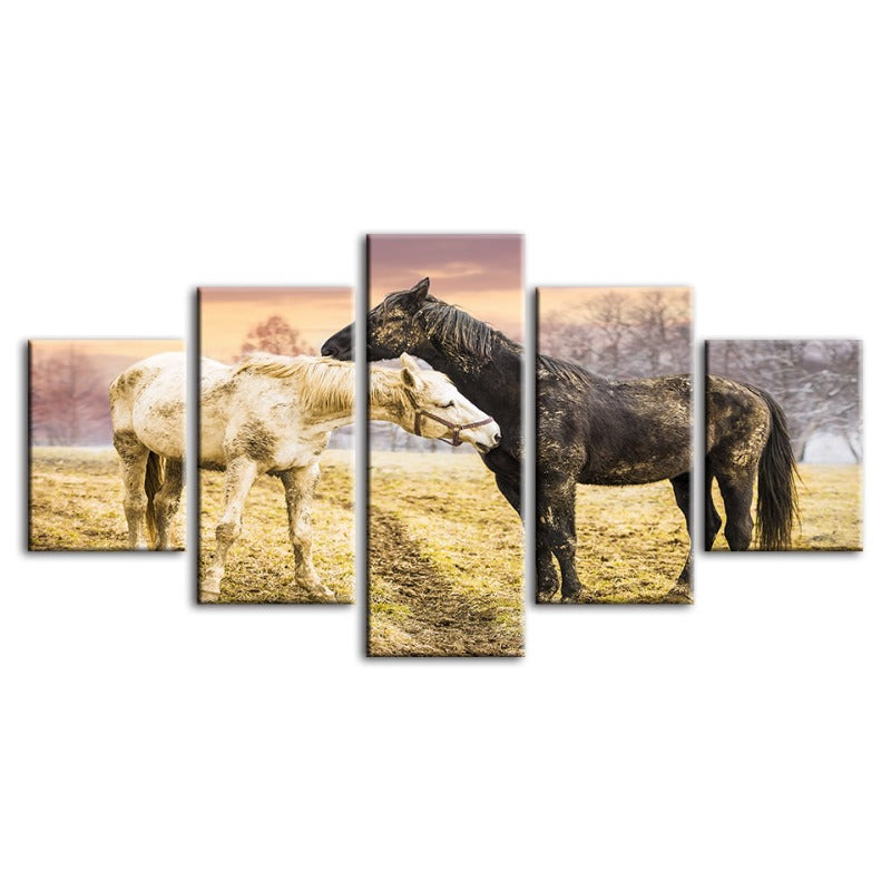 5 Stück Schwarz & Weiß Pferde - Leinwand Wandkunst Malerei
