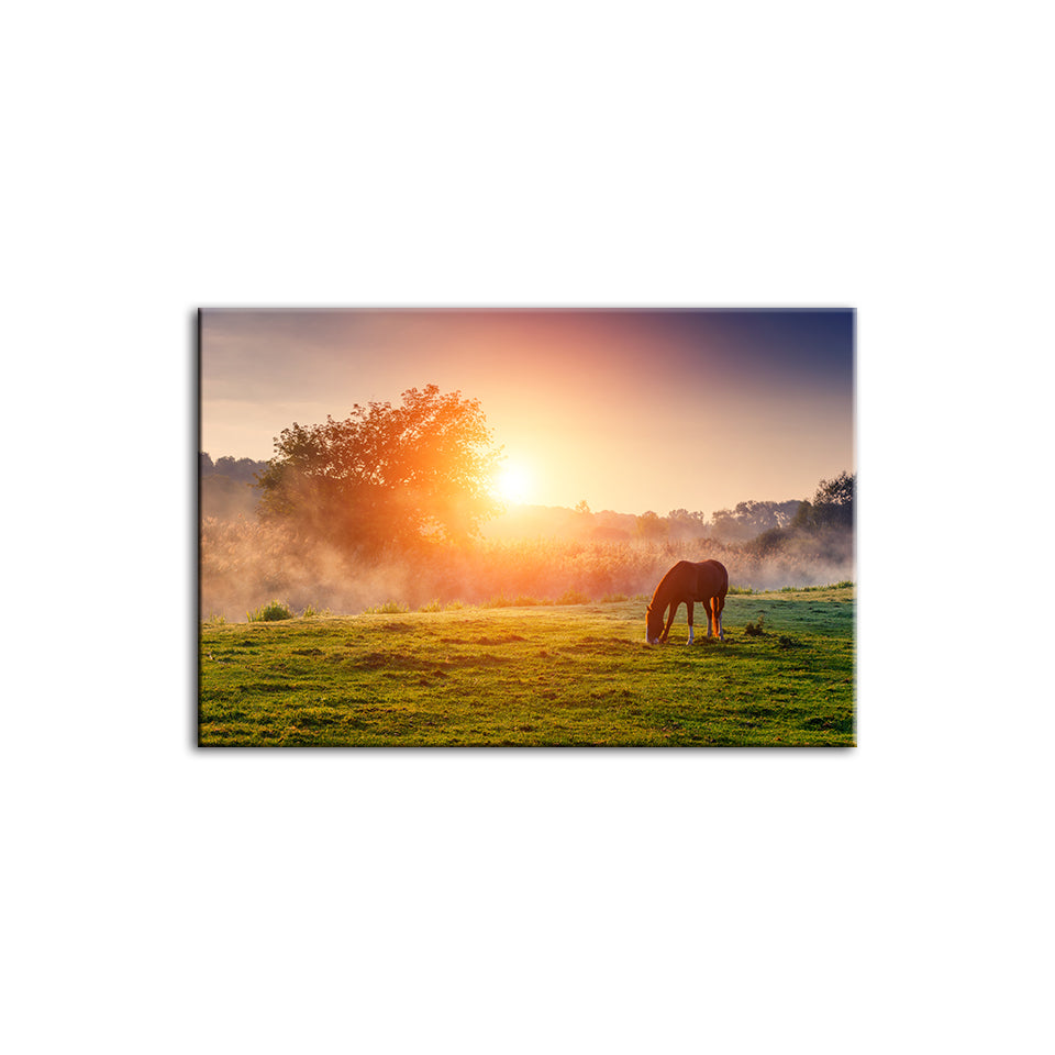 Grasendes Pferd im Sonnenaufgang - Leinwandbild