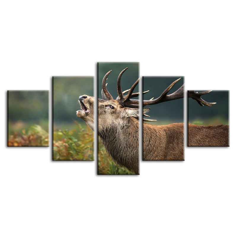 5 Stück blöckendes Elch - Leinwand Wandkunst Malerei