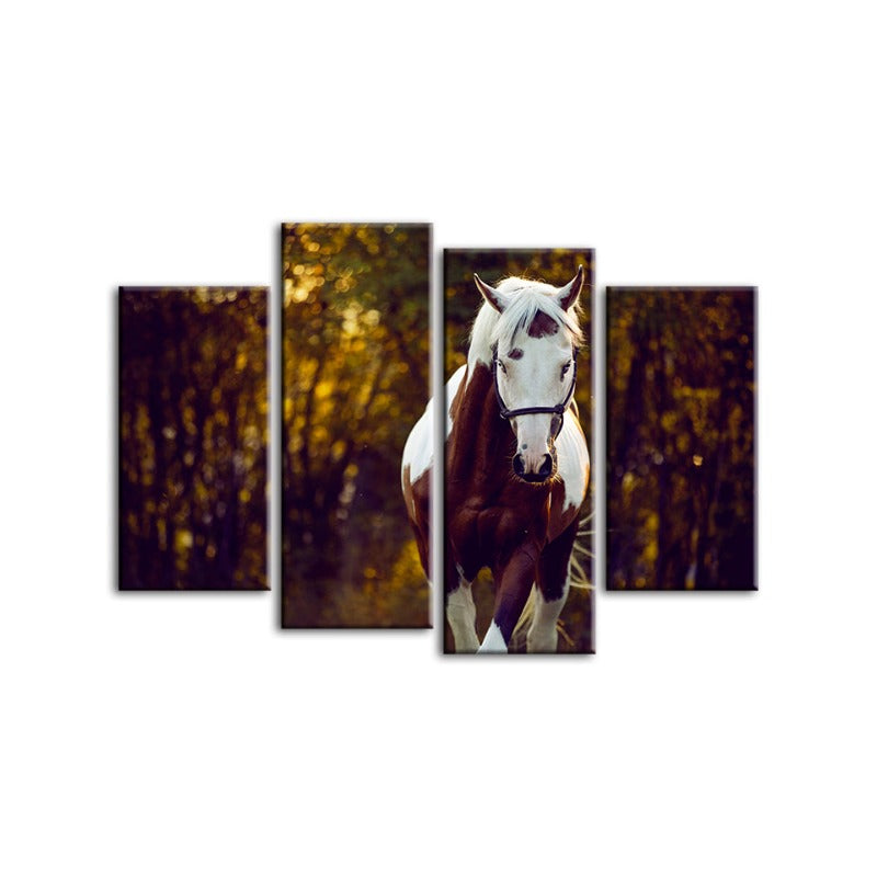 4 Stück Courtly Overo Pferd - Leinwand Wandkunst Malerei