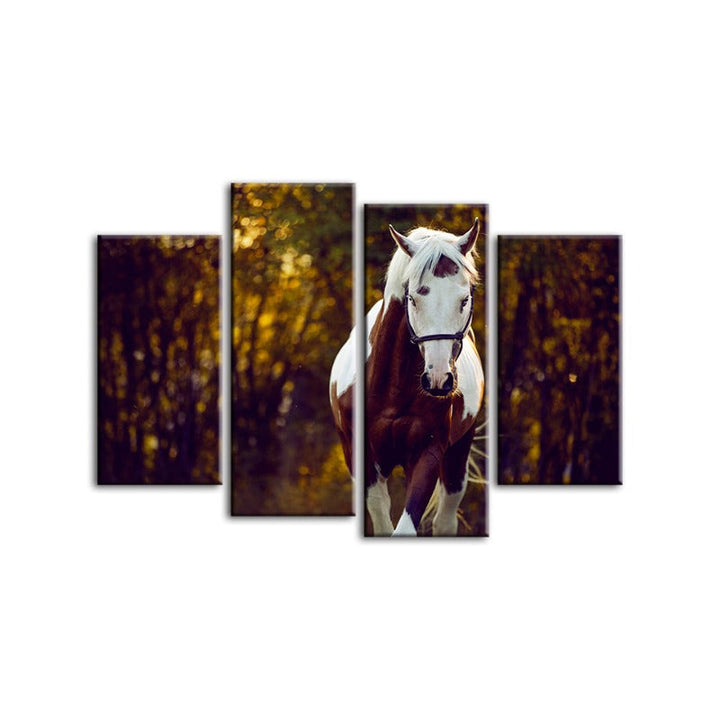 4 Stück Courtly Overo Pferd - Leinwand Wandkunst Malerei