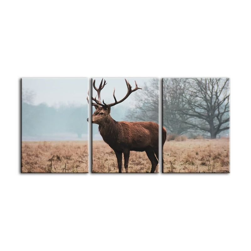 Majestätischer Hirsch in der Ebene – Leinwandbild, 3-teilig