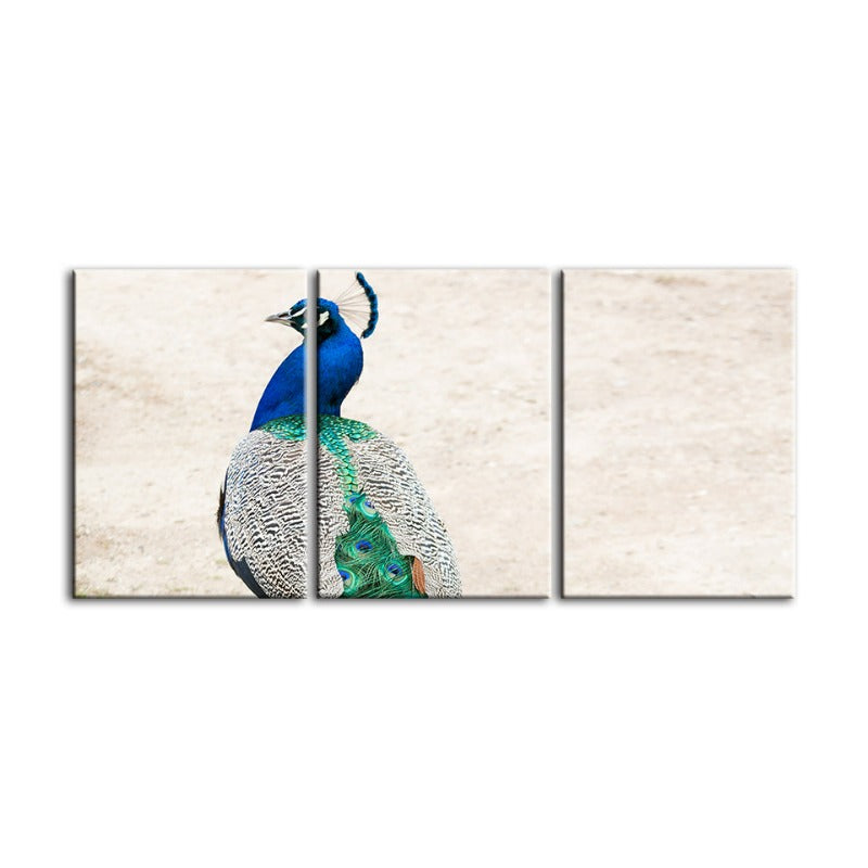 Elegantes Pfauenmotiv mit Rock – 3-teiliges Leinwandbild