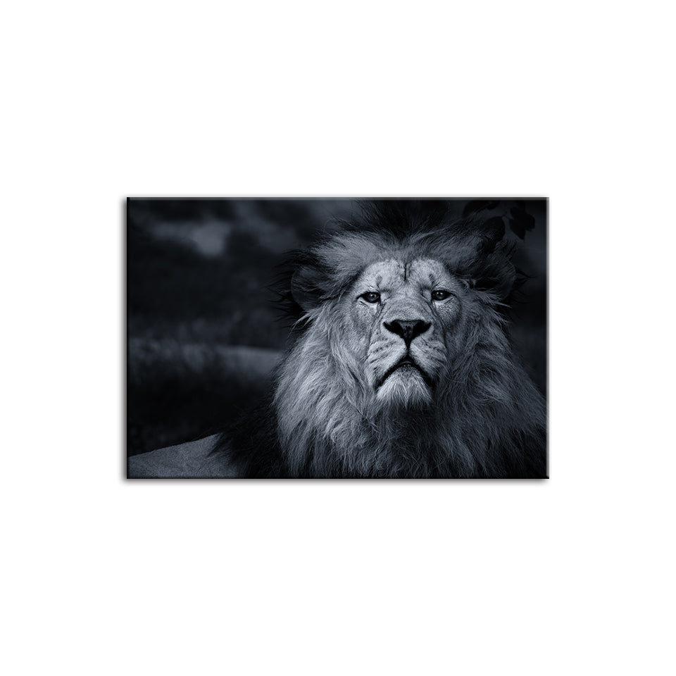 Grayscale Besorgter Löwe - Leinwand Wandkunst Gemälde