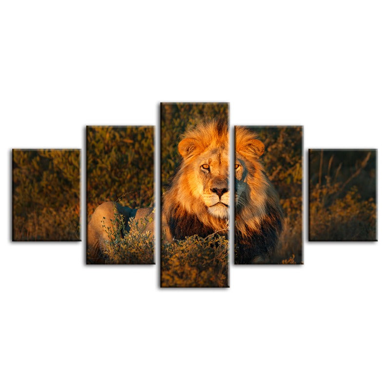 5 Stück Göttlicher Sonnenuntergang Löwe - Leinwand Wandkunst Gemälde
