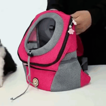Karnz | PawCarry – Gemeinsam überall unterwegs